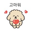 뉴플레쉬