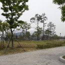 서운체육공원 이미지