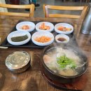 속시원해대구탕 | 마산 내서 맛집, 속 풀리는 ‘마산속시원한대구탕’ 내돈내산 해장 후기