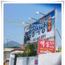 백송민박 이미지