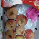 드림2농장 이미지