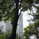드로우앤돌핀미술교습소 | 8월 이야기 _ 오일 파스텔 / 무실동 루즈앤드 / 원주 단구동 토지 옹심이