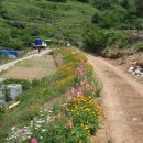 프로낚시 이미지