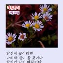 매일양식2