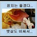어부참치 | 영등포 롯데백화점 지하 1층 팝업, 제철어부 참치회 & 회덮밥 솔직후기