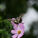용천약수 이미지