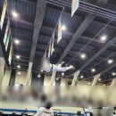 TEAM-K 태권도장 이미지