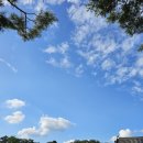 2025년 9월 15일 오늘의 운세 이미지