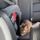 365동물병원 위례점 이미지