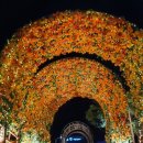 천지게임랜드 이미지