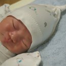 장남보건소 이미지