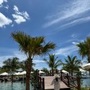 [나트랑] 나트랑 깜란 아미아나 리조트 씨뷰 디럭스 룸, 셔틀버스 이용 후기 +Resort map