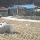 청성초등학교 이미지