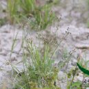 하늘지기 이미지