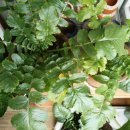 성석농장 이미지