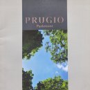 태봉공인중개사사무소 이미지