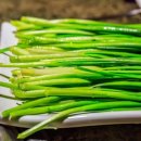 세종성모소아청소년과의원 이미지