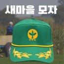 4월 15일(수) 어제 이 대통령의 '새마을 운동'과 1970년대 '새마을 운동' 이미지