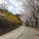 소리와 글로 피어나는 늘봄 | 마산요양원 어르신의 웃음꽃이 피어나는 곳 진주요양원 방문기