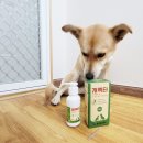 다온메디케어 이미지