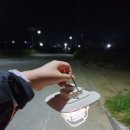 신두사구화장실 이미지