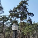 첨모당 이미지