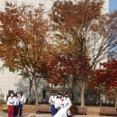 한국체대 숨 태권도장 이미지