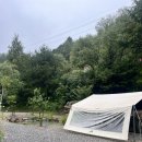 강림면376 | 월현포레스트 캠핑장 사이트 추천 B, P, S 사이트 사진 있음