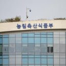 세종청사 5동-2 이미지