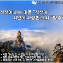 푸른항공 여행사