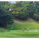 대영힐스CC 이미지