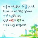 세라비 이미지