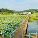 고구 애견 펜션 이미지