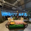 대요농장 이미지