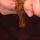 황칠세상