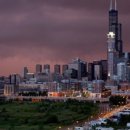 쭈꾸미아줌마 이미지