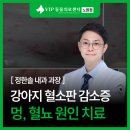 협진반점 | 강아지 멍 혈뇨 원인, 혈소판 감소증 치료 후기