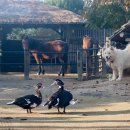 낙원펜션 이미지