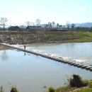 한가로이 경주 이미지