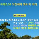 2023.02.19.주일✠ 마태오5,38-48＜사실 너희가 자기를 사랑하는 이들만 사랑한다면 무슨 상을 받겠느냐?＞ 이미지