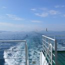 욕지도펜션블루씨 이미지