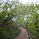 [광주 광산구]광주여대~동자봉(154m)~어등산 석봉(338m)~등용정~농악전수관~광주여대 다녀오기(2022/4/18/월 오후) 이미지