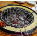갈매기 먹짱 - 동구 | 갈매기 먹짱