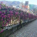 4호선 영산대역 이미지