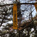 수태경로당 Daum카페
