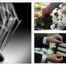 일심장례토탈 이미지