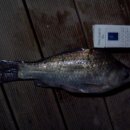 잔실 낚시터 이미지