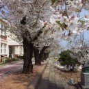 주산교실B 이미지