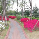 우림공인중개사사무소 이미지