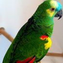 아마존동물병원 이미지